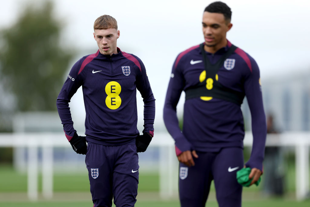 Palmer has become a regular for England